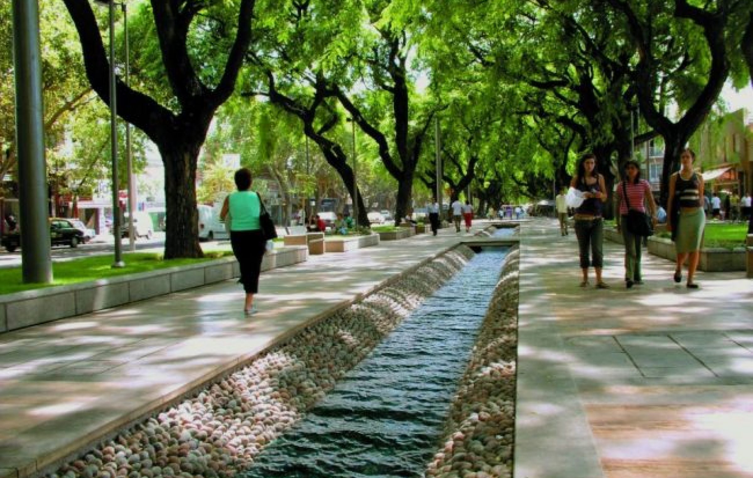 Tipica acequia de Mendoza