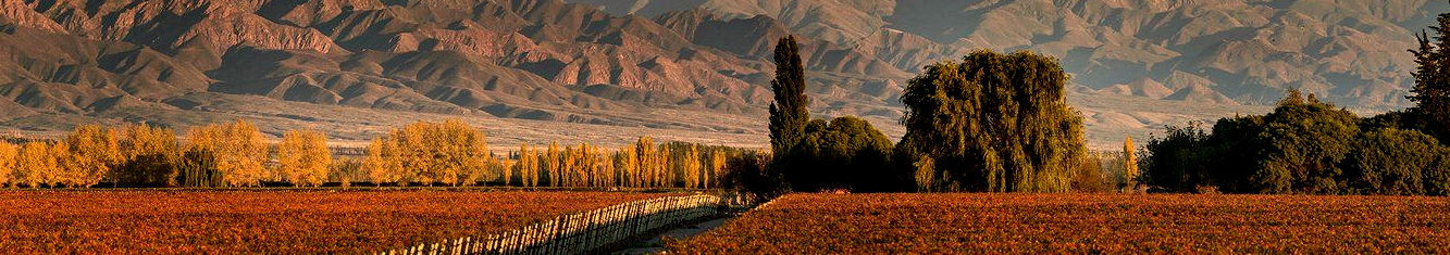 Altamira en Mendoza - Argentina